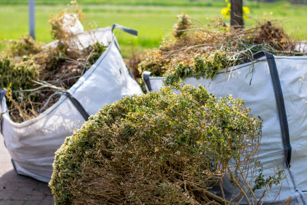 Best Construction Debris Removal  in Fayette, IA